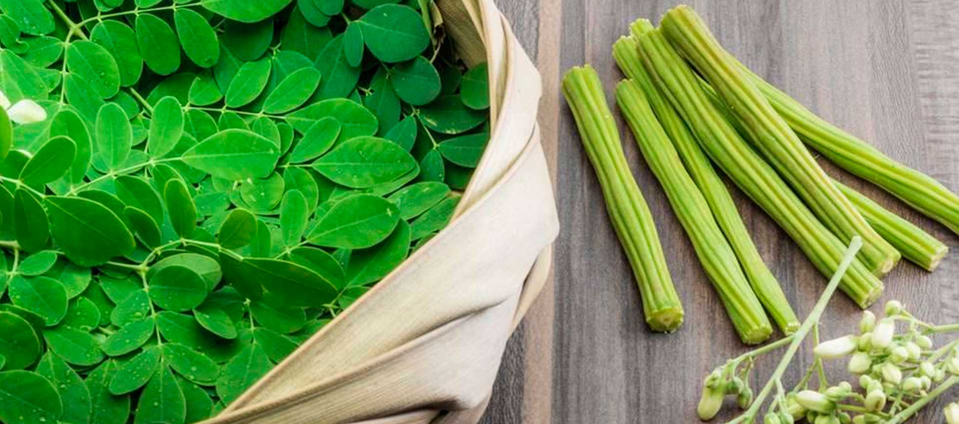 15 Health Benefits Of Moringa In Pakistan - Hair Growth, Weight Loss And More!