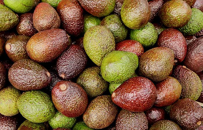 Types of Avacados in Pakistan