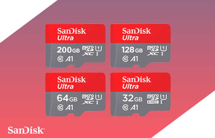 SanDisk Micro Cards