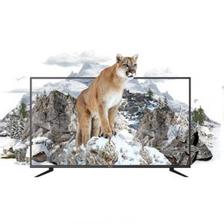 Orient 32 Inches HD Ready LED TV Cougar