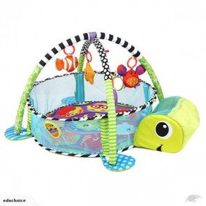iBaby Activity Gym and Ball Pit play mat