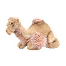 Bactarian Sitting Camel 