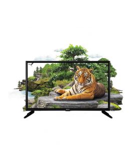Orient Macaw 32 Inches HD Ready LED TV Black