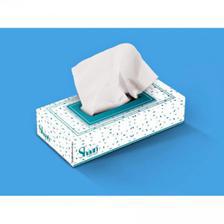Shaan Tissue Boxes 100x2ply