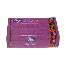 Fay International Tissue box 100x2ply