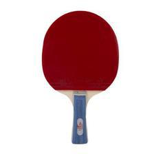 Pack of 2 - Table Tennis Net and Post Set