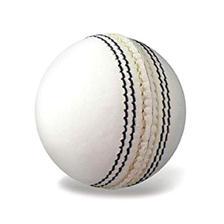 Cricket Hardball White