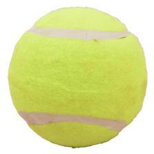 Spiner Tennis Ball For Cricket and Tennis - Green SP-449