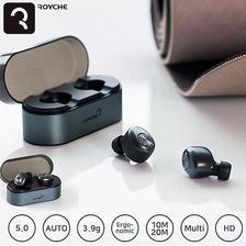 Wireless Bluetooth Earbuds with Charging Dock