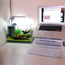 Aquarium Light Fish Tank Water Grass Plant Grow Clamp Lighting Supplies # 11w