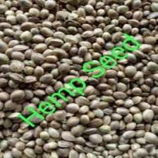 Organic Whole Hemp seeds 250 gram