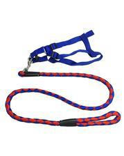 Safety Leash For Dogs - Red & Blue