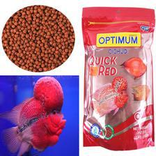Optimum Quick Red Fish Food 100G