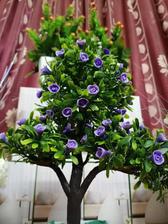 Artificial Bonsai Tree / Flower Pot ( Artificial Plant Decoration )