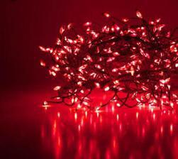 LED Fairy Lights Red Colour 20ft
