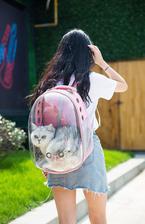 Pet Backpack Mesh Breathable Puppy Carrier Transparent Design Outdoor Travel Bag