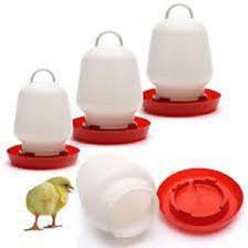 Chicken Chicks Water feeder