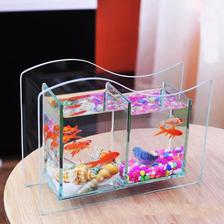 Aquarium mini fish tank