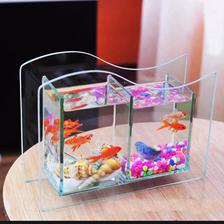 Aquarium mini fish tank