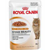 Royal Canin Jelly Gelatina Gele Cat Food