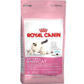 Royal Canin Mother Baby Cat Food 