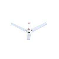 Royal 56 inches Ceiling Fan