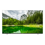 EcoStar 55" UD963 Android 11 Frameless 4K UHD TV