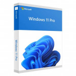 Microsoft FQC-10528 Windows 11 Professional 1 User License