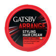 Gatsby Styling Hair Cream Hard Setting Neat & Arrange250G - 