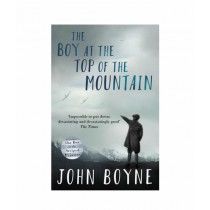 The Boy At The Top Of The Mountain Book