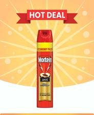 Mortein Crawling Insect Killer 600 ML 