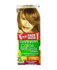 Garnier Hair Colour Dark Ash Blonde 6.1 