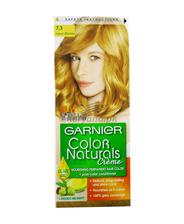 Garnier Hair Colour Hazel Blonde 7.3 