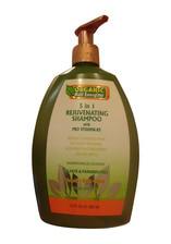 Organic Hair Energizer 5 in 1 Rejuvenating Shampoo With Pro Vitamin B5 385 ML