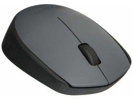 Logitech WIRELESS MOUSE M170 mouse 