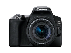 Canon EOS 250D Canon EF-s 18-55mm STM Lens DSLRcameras 