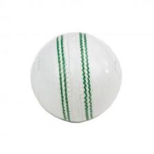 Cricket Hard Ball 5 White