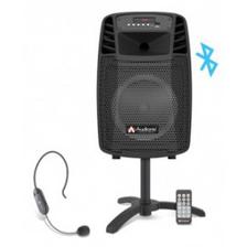 Audionic Taraweeh Speaker TW-15