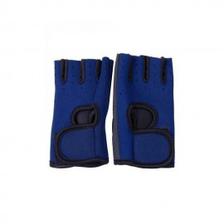 Gym Training Gloves Blue