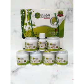 Garnier herbal facial kit