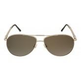 Montblanc MB425/S 16A Silver Aviator Sunglasses