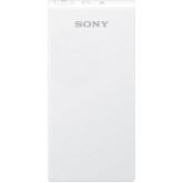 Sony Portable Wireless Server WG-C10