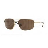 Versace Men 1504933003 Gold/Brown Sunglasses 63mm