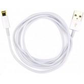 Apple Lightning to USB Cable (0.5m) ME291