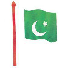 Pakistan Flag Foaming Sheet