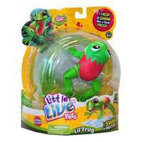 Little Live Pets | Lil Frog Splash Berry Tajori