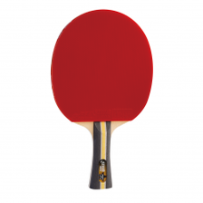 DHS T3002 Table Tennis Racket