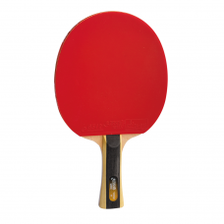 DHS T1002 Table Tennis Racket with Cover