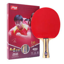 DHS T4002 Table Tennis Racket