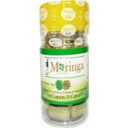 Moringa Oleifera Pure Leaf Extract 30 (750mg) Capsules - 100% NATURAL Premium Green Superfood - Non Gmo, Gluten Free
